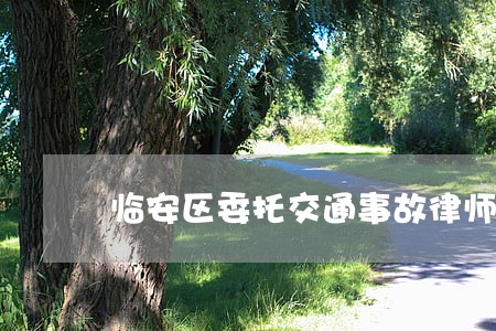 临安区委托交通事故律师