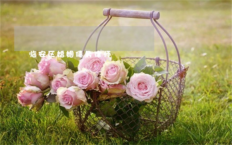临安区婚姻债务律师