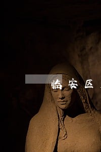 临安区房屋维权律师怎么处理
