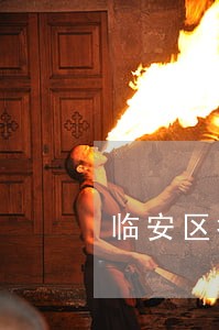 临安区抚养权律师事务所