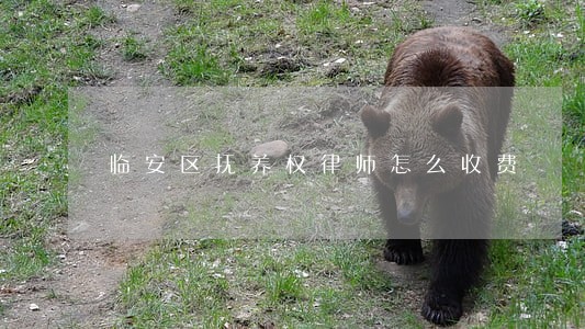 临安区抚养权律师怎么收费 临安区抚养权律师怎么收费