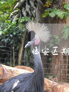 临安区期货交易律师咨询电话 临安区期货交易律师咨询电话