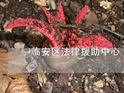 临安区法律援助中心 临安区法律援助中心