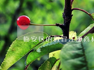 临安区的假冒注册商标罪律师服务 临安区的假冒注册商标罪律师服务