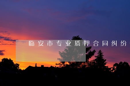 临安市专业质押合同纠纷律师 临安市专业质押合同纠纷律师