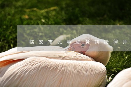 临安市民事债务纠纷律师 临安市民事债务纠纷律师