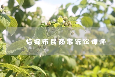 临安市民商事诉讼律师 临安市民商事诉讼律师