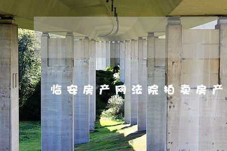 临安房产网法院拍卖房产 临安房产网法院拍卖房产
