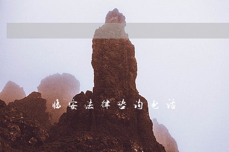 临安法律咨询电话 临安法律咨询电话