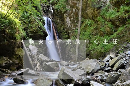 临安法律援助中心主任