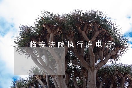 临安法院执行庭电话 临安法院执行庭电话