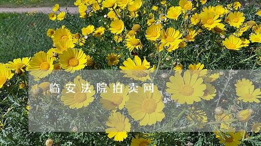 临安法院拍卖网 临安法院拍卖网
