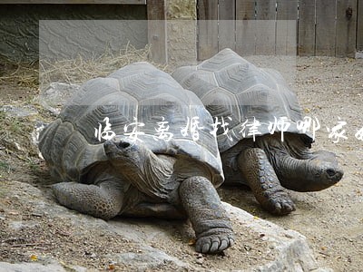 临安离婚找律师哪家好 临安离婚找律师哪家好