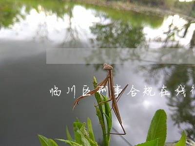 临川区刑事合规在线律师 临川区刑事合规在线律师
