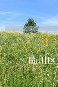 临川区知识产权律师咨询电话