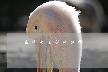 临平专业调解律师 临平专业调解律师