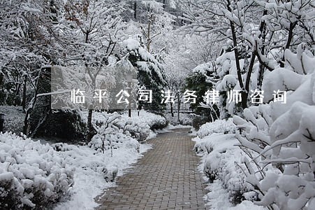 临平公司法务律师咨询 临平公司法务律师咨询