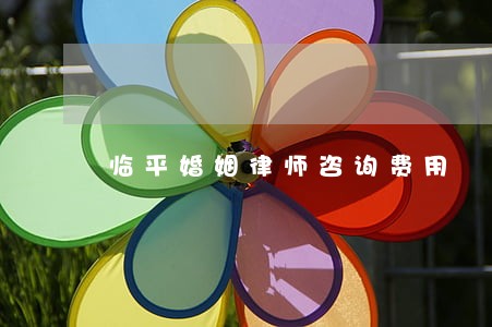 临平婚姻律师咨询费用 临平婚姻律师咨询费用