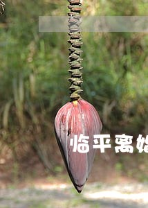 临平离婚律师怎么收费 临平离婚律师怎么收费