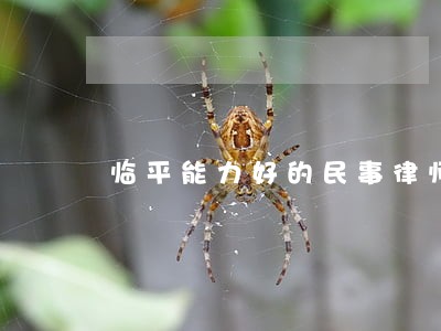 临平能力好的民事律师 临平能力好的民事律师