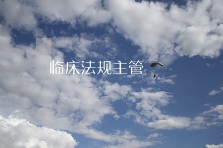 临床法规主管 临床法规主管
