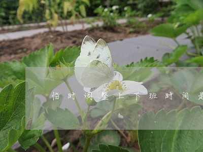 临时调整上下班时间是否违法 临时调整上下班时间是否违法