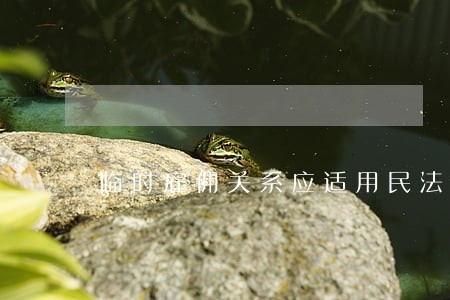 临时雇佣关系应适用民法调整范畴 临时雇佣关系应适用民法调整范畴