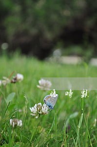 临时额度3万8逾期了怎么办 临时额度3万8逾期了怎么办