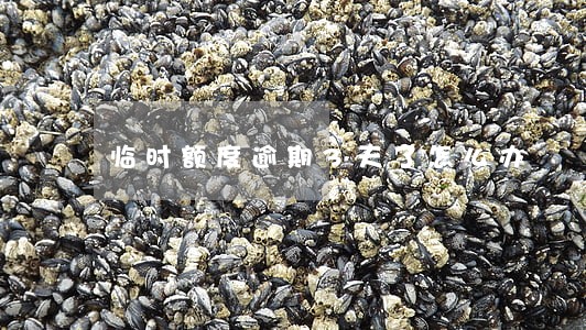 临时额度逾期3天了怎么办 临时额度逾期3天了怎么办