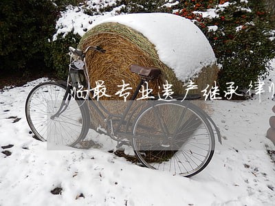 临最专业遗产继承律师 临最专业遗产继承律师