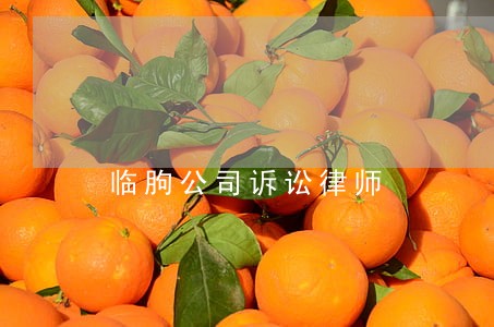 临朐公司诉讼律师 临朐公司诉讼律师