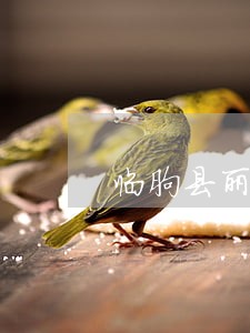 临朐县丽云建材厂法律风险查询