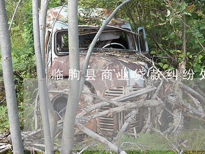 临朐县商业贷款纠纷处理律师 临朐县商业贷款纠纷处理律师