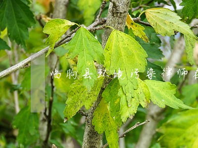 临朐县环境污染律师在线免费咨询 临朐县环境污染律师在线免费咨询
