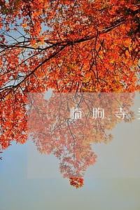 临朐寺头镇海事律师 临朐寺头镇海事律师