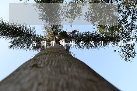 临朐律师事务所什么费用 临朐律师事务所什么费用