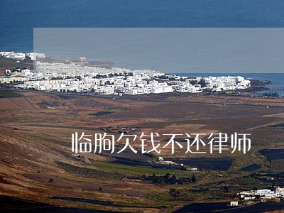 临朐欠钱不还律师 临朐欠钱不还律师