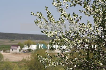临朐民事律师什么费用 临朐民事律师什么费用