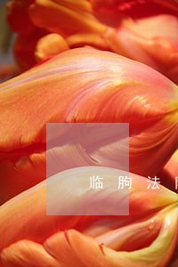 临朐法院执行局张汝萍