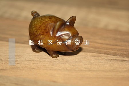 临桂区法律咨询 临桂区法律咨询