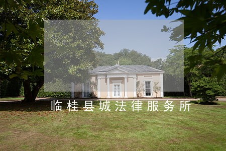 临桂县城法律服务所