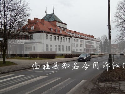 临桂县知名合同诉讼律师 临桂县知名合同诉讼律师