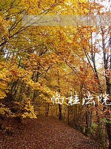 临桂法院诉讼服务