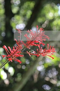 临武交通事故律师 临武交通事故律师