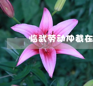 临武劳动仲裁在线咨询 临武劳动仲裁在线咨询
