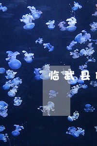 临武县倾销补贴法律咨询热线 临武县倾销补贴法律咨询热线