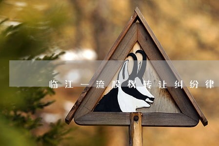 临江一流股权转让纠纷律师