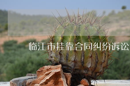 临江市挂靠合同纠纷诉讼律师 临江市挂靠合同纠纷诉讼律师