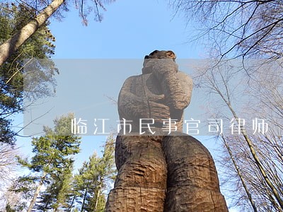 临江市民事官司律师 临江市民事官司律师