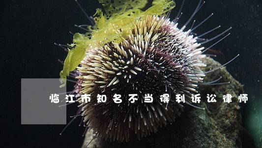 临江市知名不当得利诉讼律师 临江市知名不当得利诉讼律师